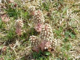 vacanta in mijlocul naturii, turism
